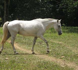 So, erst ma in Position gehen...