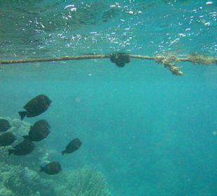 Sharm el Naga