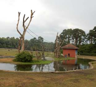 Durchfahrt Serengetipark