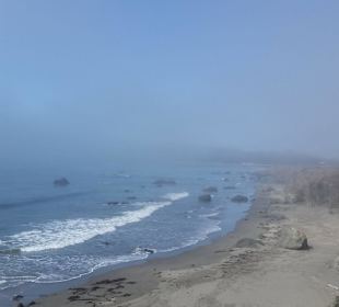 Sea Elephant Point