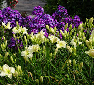 Eindrücke vom Rundgang durch den Park der Gärten