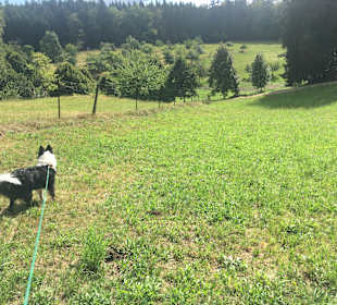 Wandern Elzach