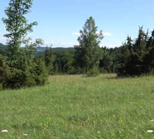 Naturerlebnispfad Sternberg