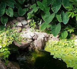 Botanischer Garten