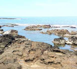 Stadtrundgang Punta del Este