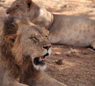 Tsavo East and West National Park