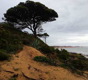 Uferbereich westlich Olhos de Agua