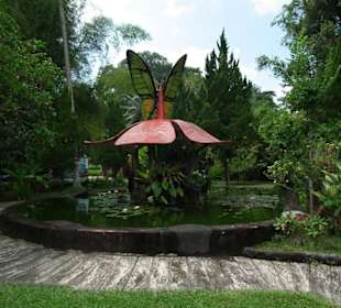 Eingang zum Schmetterlingspark