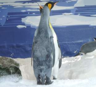 Besonders die Kinder hatten viel Spaß