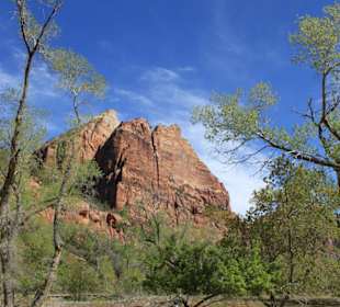 Im Zion Nationalpark