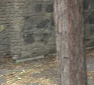 Kapelle Madonna in den Trümmern