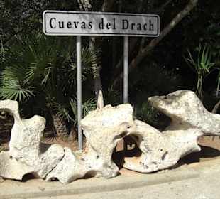 Cuevas del drach