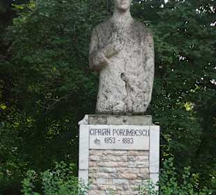 Parcul Central Vatra Dornei