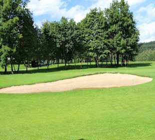 Hügeliges Gelände mit Bäumen und Bunkern