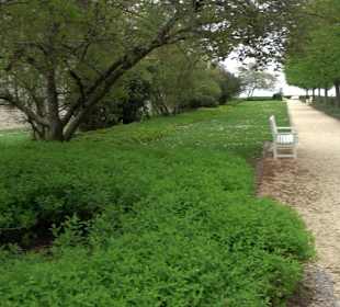 Schloss ob Ellwangen