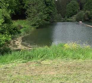 Waldsee Lützenhardt