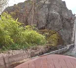 Land der Abenteuer - Dschungel X-pedition