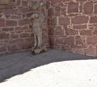 Historische Meile Altensteig