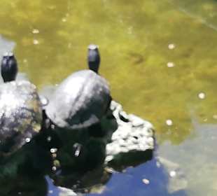 Stadtrundgang Varadero