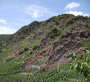 Wander - Weinberg