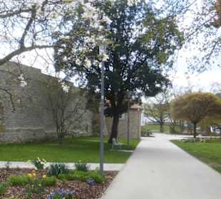 Bei der Stadtmauer am Chateaudunpark, Nähe Theater