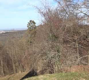 Weinbergturm