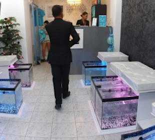 Genießen Sie ein Behandlung vom original Dr. Fisch