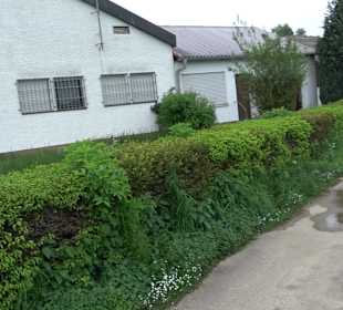 Sportclub Giengen