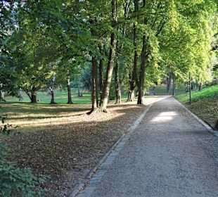 Impressionen aus dem Stadtgarten