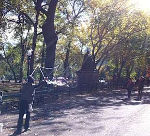 Central Park