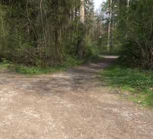 Wanderparkplatz am Waldlehrpfad