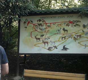 Zoo Brno