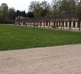 Orangerie Schloss Favorite