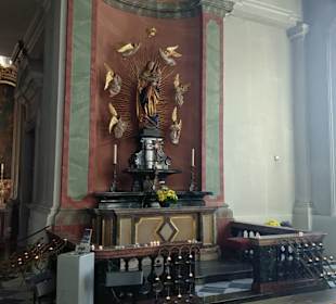 Kathedrale /Hofkirche Dresden