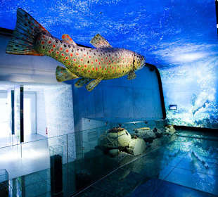 Wilde Wasser in den Nationalparkwelten