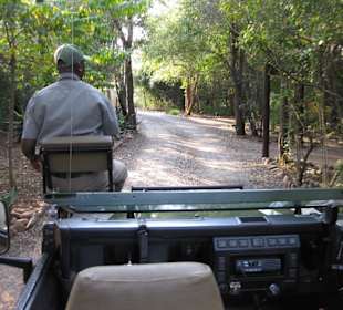Game Drive