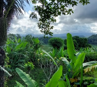 Ausblick von der Terrasse