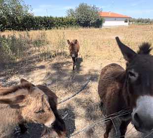 Wandern Castelvetrano