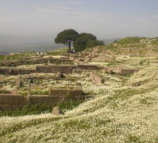 Blick über die Stadt