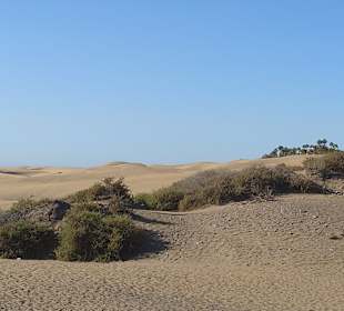Dünen von Maspalomas