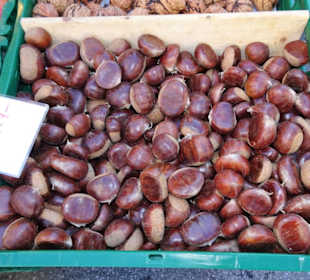 Rundgang über die Salzburger Schranne