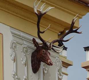 Schloss Moritzburg