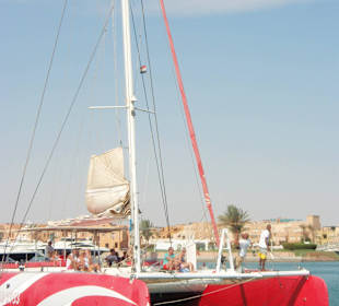 Top-Ausflüge mit dem Katamaran Ocean Diva