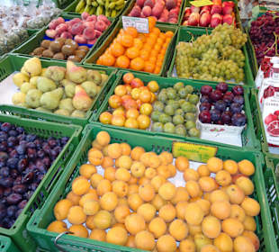 Rundgang über den Grünmarkt Salzburg