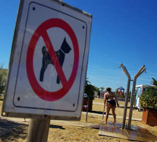 Hundeverbot am Hauptstrand