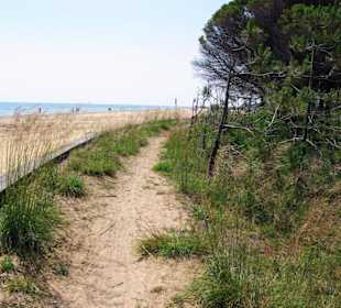 Naturreservat rechter Bereich
