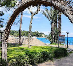 Moonlight Park 