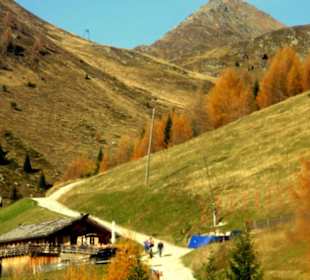 Wanderweg unterhalb der Hütte