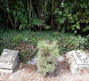 Burgruine Lichtenberg Thallichtenberg