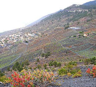 Vulkan San Antonio 1677